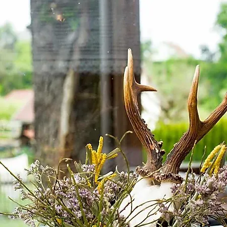 Locanda Zur Waldschenke