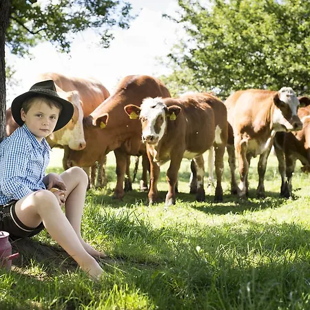 بيت ريفي Zur Waldschenke