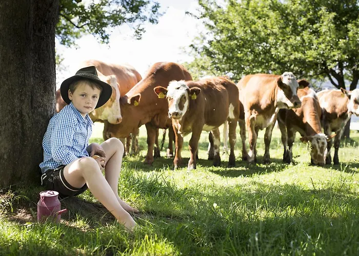 بيت ريفي Zur Waldschenke